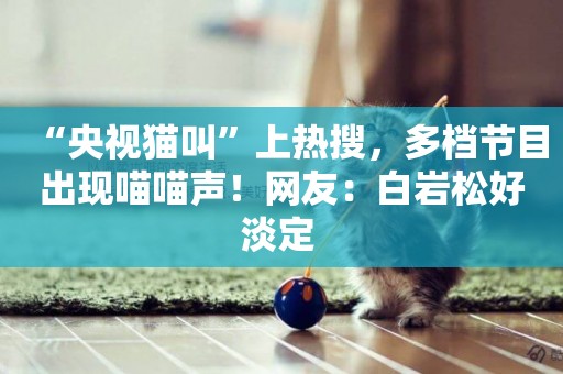 “央視貓叫”上熱搜，多檔節目出現喵喵聲！網友：白巖松好淡定 