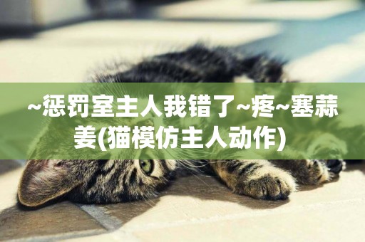 ~懲罰室主人我錯了~疼~塞蒜姜(貓模仿主人動作) 
