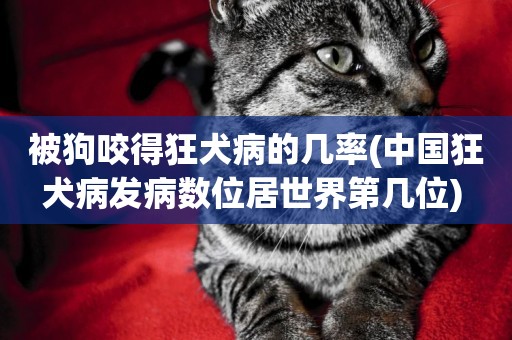 被狗咬得狂犬病的幾率(中國狂犬病發病數位居世界第幾位) 