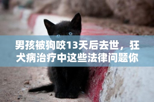 男孩被狗咬13天后去世，狂犬病治療中這些法律問題你知道嗎？ 