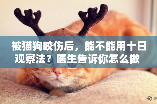 被貓狗咬傷后，能不能用十日觀察法？醫生告訴你怎么做 
