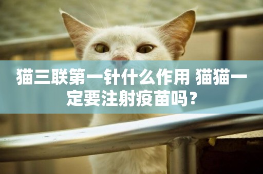 貓三聯第一針什么作用 貓貓一定要注射疫苗嗎？