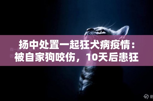揚中處置一起狂犬病疫情：被自家狗咬傷，10天后患狂犬病，2天后死亡 