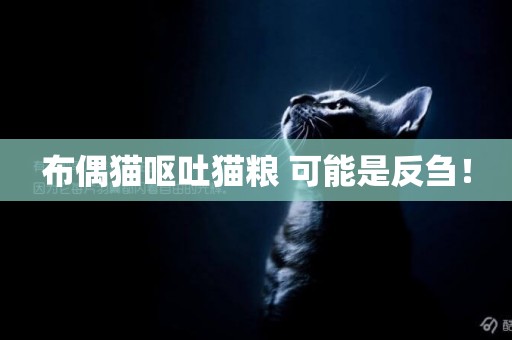 布偶貓嘔吐貓糧 可能是反芻！