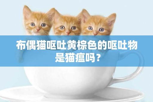 布偶貓嘔吐黃棕色的嘔吐物 是貓瘟嗎? 布偶貓嘔吐黃棕色的嘔吐物 是貓瘟嗎?