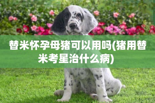 替米懷孕母豬可以用嗎(豬用替米考星治什么病) 
