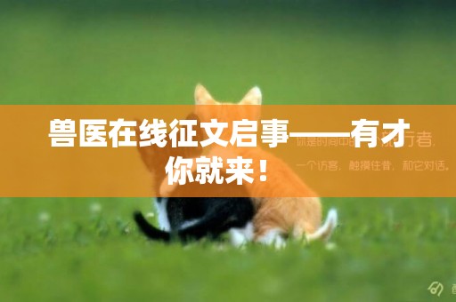 獸醫在線征文啟事——有才你就來！ 