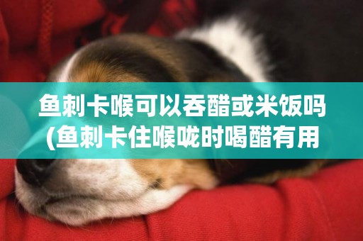 魚刺卡喉可以吞醋或米飯嗎(魚刺卡住喉嚨時喝醋有用嗎) 