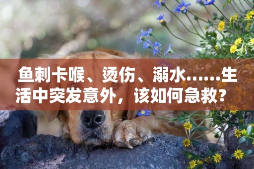 魚刺卡喉、燙傷、溺水……生活中突發意外，該如何急救？ 