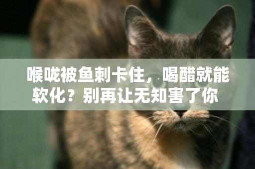 喉嚨被魚刺卡住，喝醋就能軟化？別再讓無知害了你 