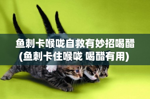 魚刺卡喉嚨自救有妙招喝醋(魚刺卡住喉嚨 喝醋有用) 