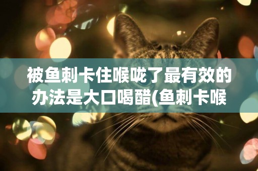 被魚刺卡住喉嚨了最有效的辦法是大口喝醋(魚刺卡喉后喝醋) 