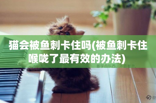 貓會被魚刺卡住嗎(被魚刺卡住喉嚨了最有效的辦法) 