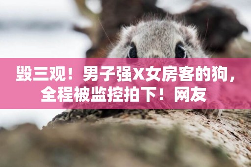 毀三觀！男子強X女房客的狗，全程被監控拍下！網友 