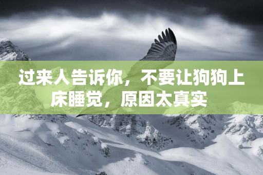 過來人告訴你，不要讓狗狗上床睡覺，原因太真實 