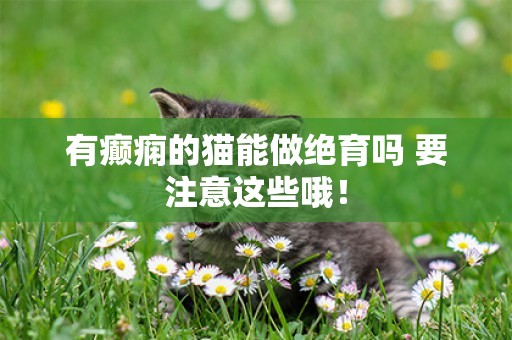 有癲癇的貓能做絕育嗎 要注意這些哦！