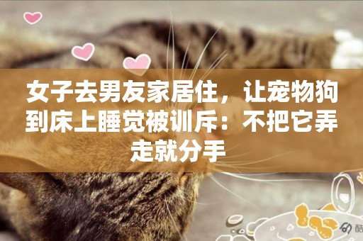 女子去男友家居住，讓寵物狗到床上睡覺被訓斥：不把它弄走就分手 