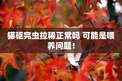 貓驅完蟲拉稀正常嗎 可能是喂養問題！