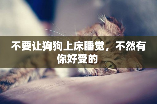 不要讓狗狗上床睡覺，不然有你好受的 