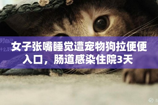 女子張嘴睡覺遭寵物狗拉便便入口，腸道感染住院3天 