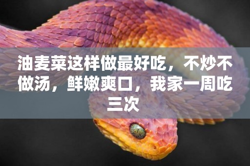 油麥菜這樣做最好吃，不炒不做湯，鮮嫩爽口，我家一周吃三次 