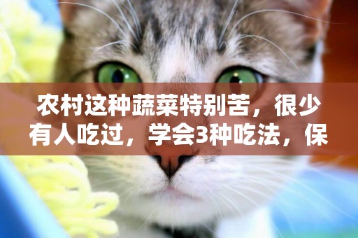 農村這種蔬菜特別苦，很少有人吃過，學會3種吃法，保證沒苦味 