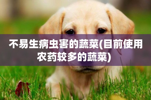 不易生病蟲害的蔬菜(目前使用農藥較多的蔬菜) 