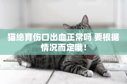 貓絕育傷口出血正常嗎 要根據情況而定哦！