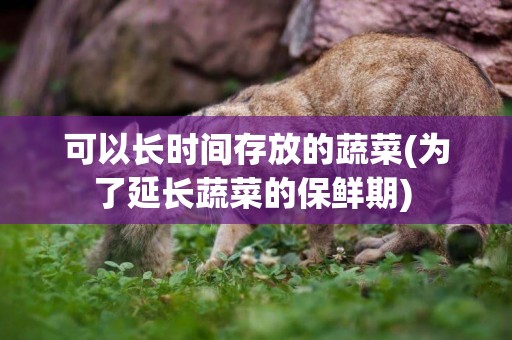 可以長時間存放的蔬菜(為了延長蔬菜的保鮮期) 