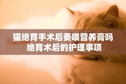 貓絕育手術后要喂營養膏嗎 絕育術后的護理事項