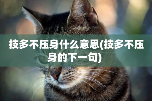 技多不壓身什么意思(技多不壓身的下一句) 