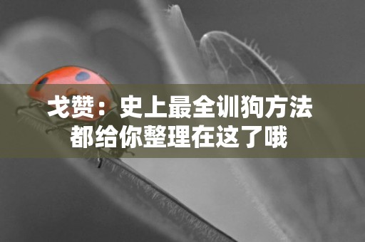 戈贊：史上最全訓狗方法 都給你整理在這了哦 