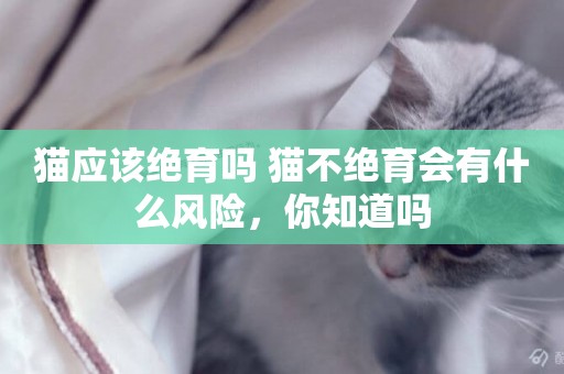 貓應該絕育嗎 貓不絕育會有什么風險,你知道嗎 貓應該絕育嗎 貓不絕育會有什么風險,你知道嗎