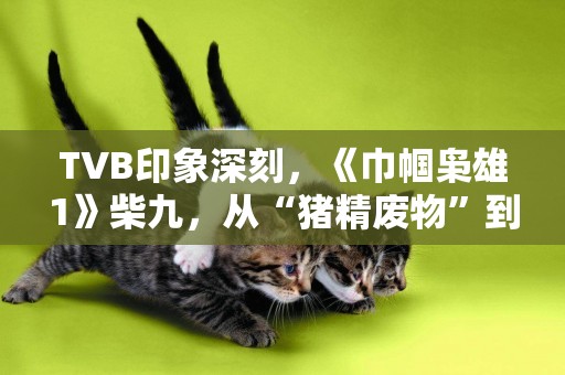 TVB印象深刻，《巾幗梟雄1》柴九，從“豬精廢物”到“一代梟雄” 