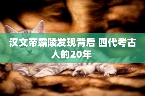 漢文帝霸陵發現背后 四代考古人的20年 