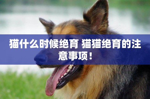 貓什么時候絕育 貓貓絕育的注意事項！