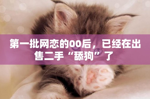 第一批網戀的00后，已經在出售二手“舔狗”了 