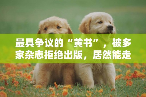最具爭議的“黃書”，被多家雜志拒絕出版，居然能走上大銀幕 
