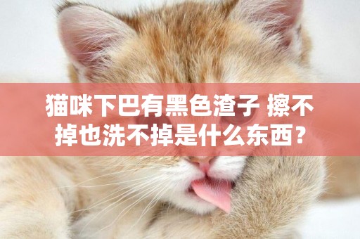 貓咪下巴有黑色渣子 擦不掉也洗不掉是什么東西？