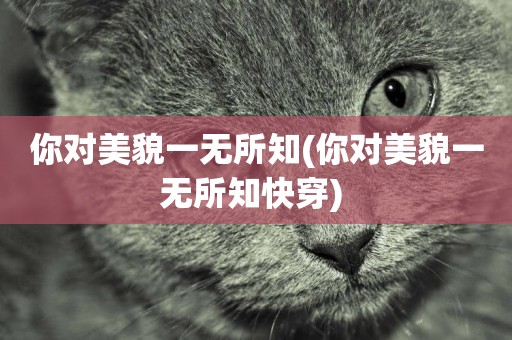你對美貌一無所知(你對美貌一無所知快穿) 