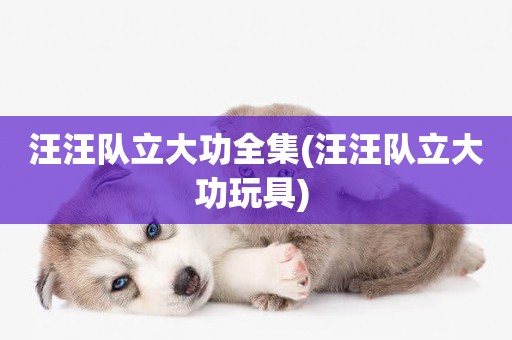 汪汪隊立大功全集(汪汪隊立大功玩具) 