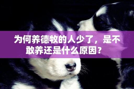 為何養德牧的人少了，是不敢養還是什么原因？ 