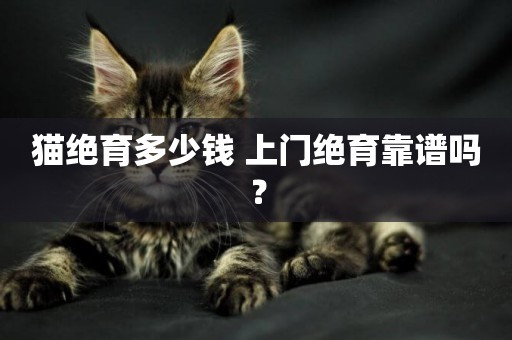貓絕育多少錢 上門絕育靠譜嗎？