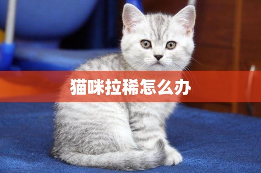 貓咪拉稀怎么辦