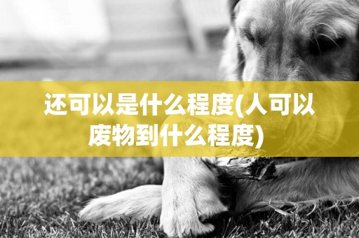 還可以是什么程度(人可以廢物到什么程度) 