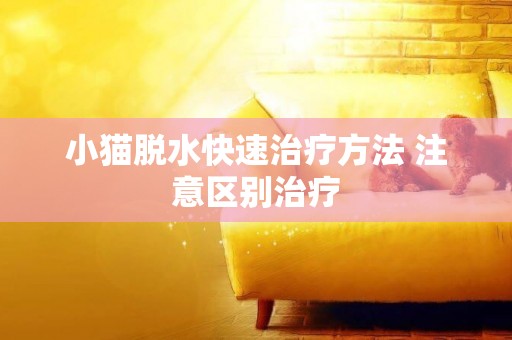小貓脫水快速治療方法 注意區別治療