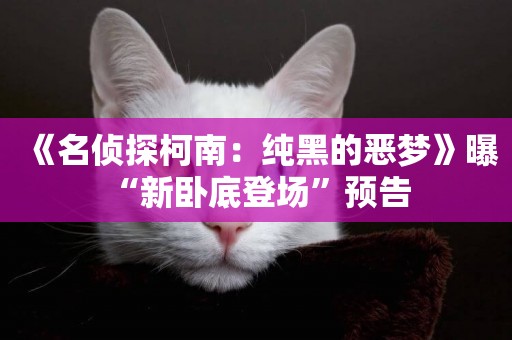 《名偵探柯南：純黑的惡夢》曝“新臥底登場”預告 
