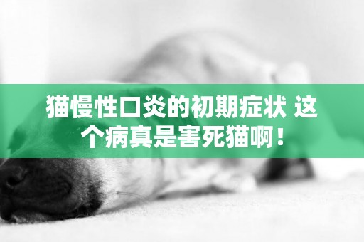 貓慢性口炎的初期癥狀 這個病真是害死貓啊！