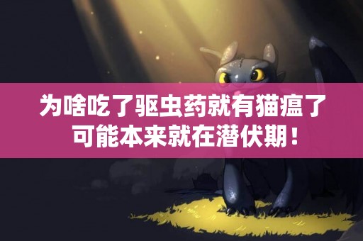 為啥吃了驅蟲藥就有貓瘟了 可能本來就在潛伏期！