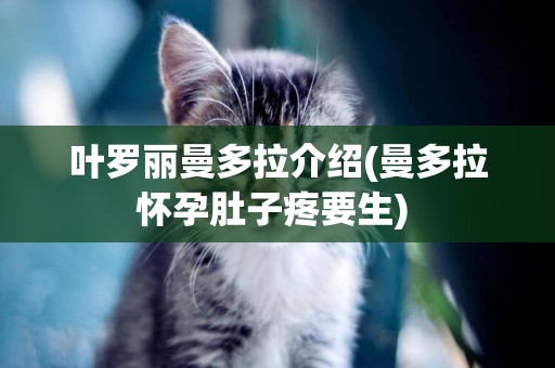 葉羅麗曼多拉介紹(曼多拉懷孕肚子疼要生) 